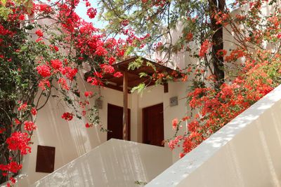 Book Isil Club Bodrum All Inclusive Bodrum Book Now With Almosafer