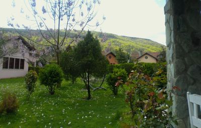 Book Villa Kirkpinar Sapanca Sapanca Book Now With Almosafer