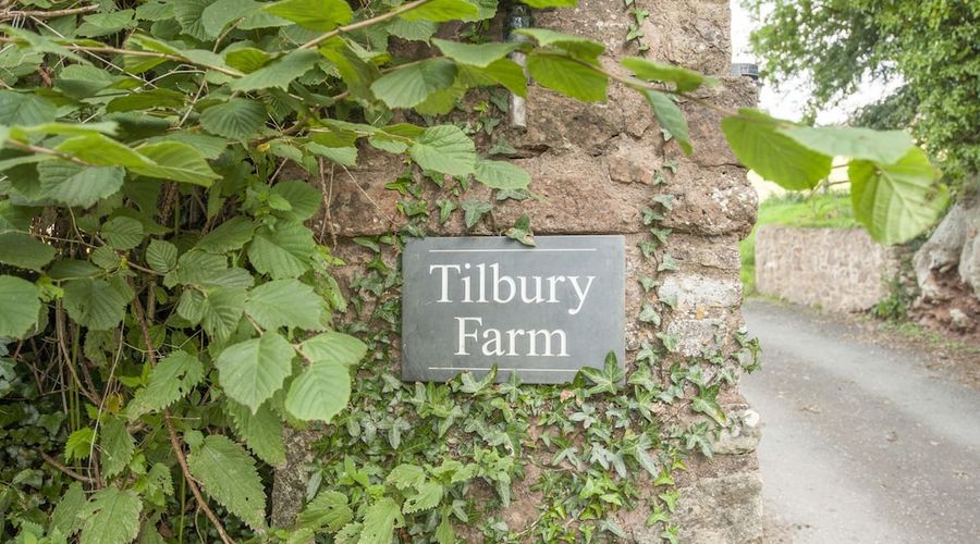 Tilbury Cottage-23 of 26 photos